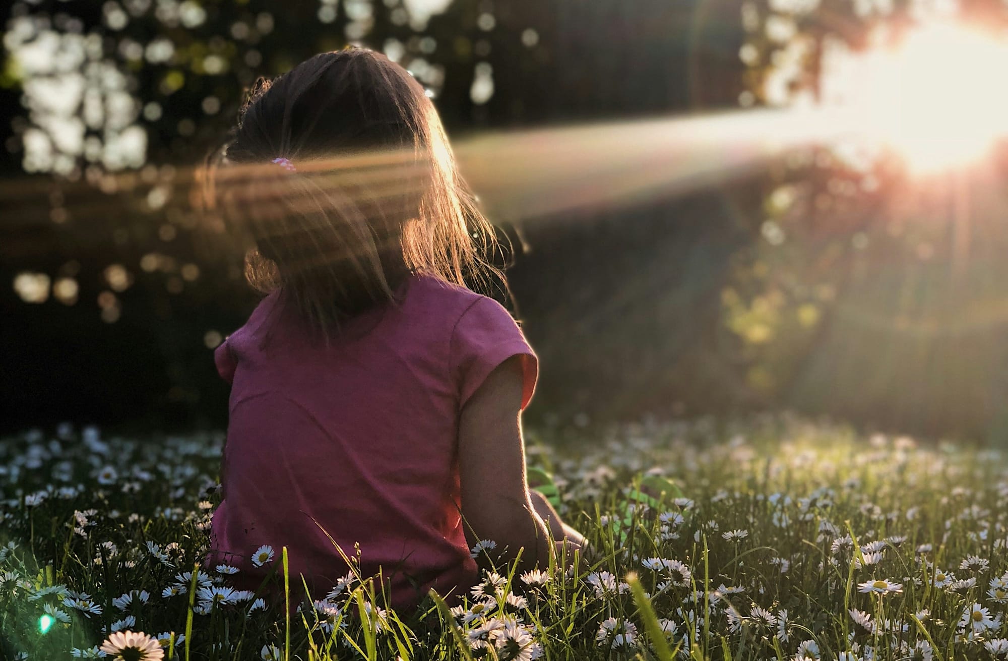 Kid sitting among flowers with warm sun rays on them